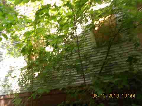 14098 Saratoga (6)_m.jpg